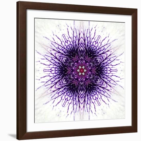 White Concentric Flower Center: Mandala Kaleidoscopic-tr3gi-Framed Art Print