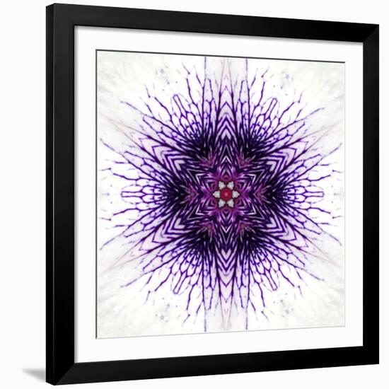 White Concentric Flower Center: Mandala Kaleidoscopic-tr3gi-Framed Art Print