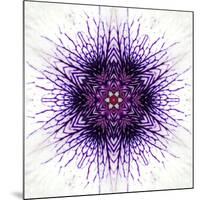 White Concentric Flower Center: Mandala Kaleidoscopic-tr3gi-Mounted Art Print