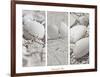 White Conches on the Beach-Uwe Merkel-Framed Photographic Print