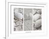 White Conches on the Beach-Uwe Merkel-Framed Photographic Print