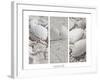 White Conches on the Beach-Uwe Merkel-Framed Photographic Print