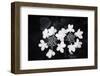 White Confetti-Philippe Sainte-Laudy-Framed Photographic Print