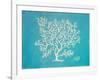 White Coral II-Julie DeRice-Framed Art Print