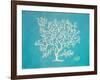 White Coral II-Julie DeRice-Framed Art Print