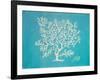 White Coral II-Julie DeRice-Framed Art Print