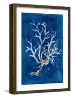 White Corals I-Patricia Pinto-Framed Art Print