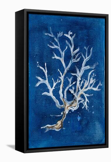 White Corals I-Patricia Pinto-Framed Stretched Canvas