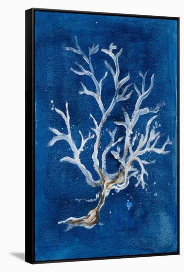 White Corals I-Patricia Pinto-Framed Stretched Canvas