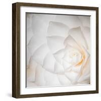 white Corners-Philippe Sainte-Laudy-Framed Photographic Print