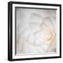 white Corners-Philippe Sainte-Laudy-Framed Photographic Print