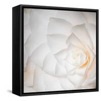 white Corners-Philippe Sainte-Laudy-Framed Stretched Canvas