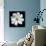 White Cosmos 3-Magda Indigo-Mounted Photographic Print displayed on a wall