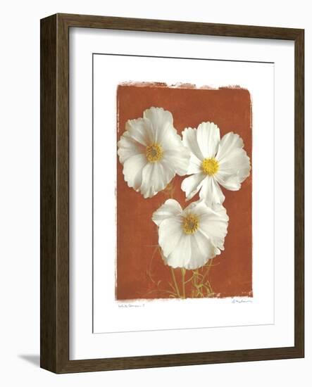 White Cosmos I-Amy Melious-Framed Art Print