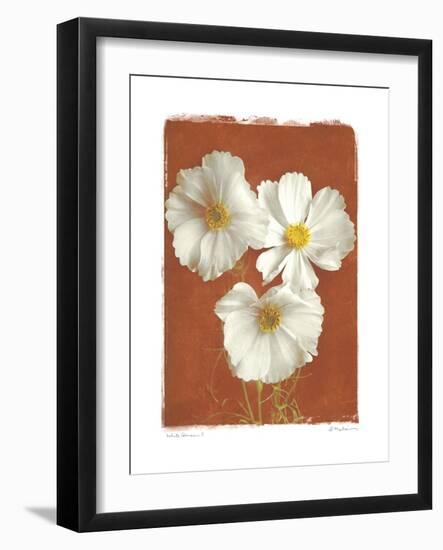 White Cosmos I-Amy Melious-Framed Art Print