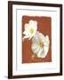 White Cosmos II-Amy Melious-Framed Art Print