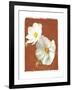 White Cosmos II-Amy Melious-Framed Art Print