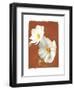 White Cosmos II-Amy Melious-Framed Art Print