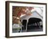 White Covered Bridge in Autumn-null-Framed Photographic Print