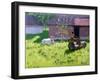 White Cow and Two Children,Mankotta Island, Kerala, India-Andrew Macara-Framed Giclee Print