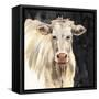 White Cow on Black-Silvia Vassileva-Framed Stretched Canvas