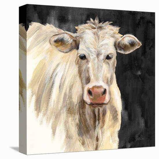 White Cow on Black-Silvia Vassileva-Stretched Canvas