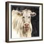 White Cow on Black-Silvia Vassileva-Framed Art Print