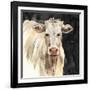 White Cow on Black-Silvia Vassileva-Framed Art Print