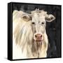 White Cow on Black-Silvia Vassileva-Framed Stretched Canvas