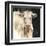 White Cow on Black-Silvia Vassileva-Framed Art Print