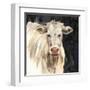 White Cow on Black-Silvia Vassileva-Framed Art Print