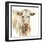 White Cow-Silvia Vassileva-Framed Art Print