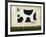 White Cow-Daniel Patrick Kessler-Framed Premium Giclee Print