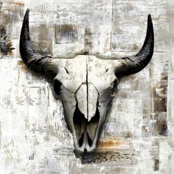 Affordable Animal Skulls Posters For At Allposters White Cowskull