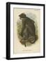 White Crowned Mangabey-null-Framed Premium Giclee Print