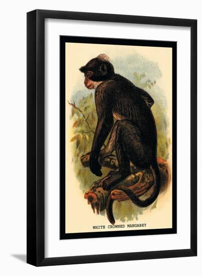 White Crowned Mangabey-G.r. Waterhouse-Framed Art Print