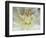 White Dahlia Close-up-Janell Davidson-Framed Photographic Print