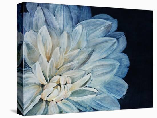 White Dahlia-Farrell Douglass-Stretched Canvas