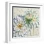 White Dahlias I-Patricia Pinto-Framed Art Print