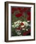 White Daisies and Red Poppies, near Crosby, Tennessee, USA-Adam Jones-Framed Photographic Print