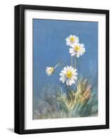 White Daisies No Butterfly-Danhui Nai-Framed Art Print