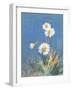 White Daisies No Butterfly-Danhui Nai-Framed Art Print