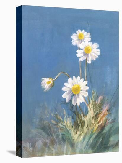 White Daisies No Butterfly-Danhui Nai-Stretched Canvas
