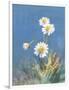 White Daisies No Butterfly-Danhui Nai-Framed Art Print