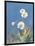 White Daisies No Butterfly-Danhui Nai-Framed Art Print