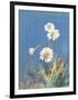 White Daisies No Butterfly-Danhui Nai-Framed Art Print
