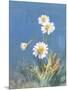 White Daisies No Butterfly-Danhui Nai-Mounted Art Print