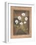 White Daisies-Michael Marcon-Framed Art Print