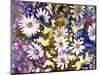 White Daisies-Neela Pushparaj-Mounted Giclee Print