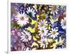 White Daisies-Neela Pushparaj-Framed Giclee Print